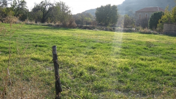 Πωλείται οικία με οικόπεδο στην Ερεσό Λέσβου.