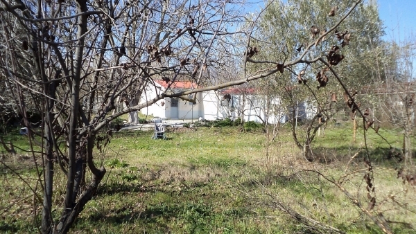 Πωλείται οικία με οικόπεδο στο Πέραμα Λέσβου.