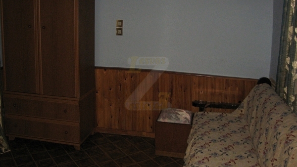 Πωλείται μονοκατοικία στο Πλωμάρι Λέσβου.