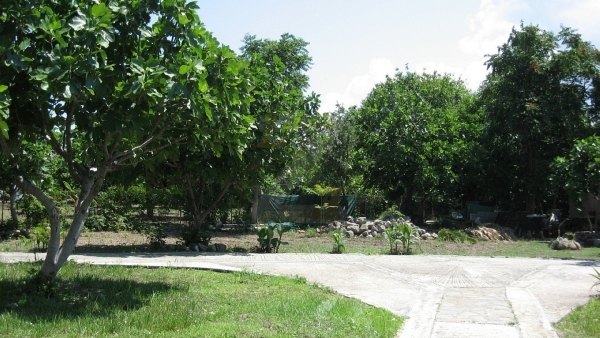 Πωλείται ξενοδοχείο στην Σκάλα Ερεσού Λέσβου.