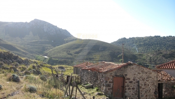 Οικόπεδο με μικρή οικία προς πώληση στην Ερεσό Λέσβου.