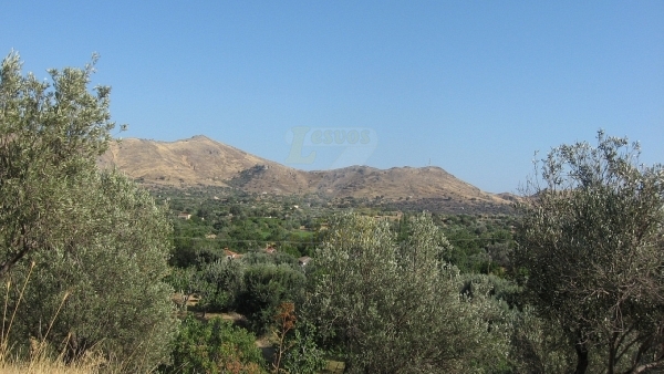 Πωλείται οικόπεδο στην Ερεσό Λέσβου.