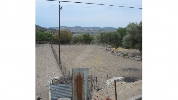 Πωλείται οικόπεδο στο Λισβόρι Λέσβου, σε τιμή ευκαιρίας!