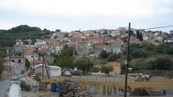 Πωλείται οικόπεδο στο Λισβόρι Λέσβου, σε τιμή ευκαιρίας!