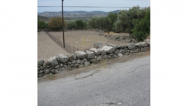 Πωλείται οικόπεδο στο Λισβόρι Λέσβου, σε τιμή ευκαιρίας!