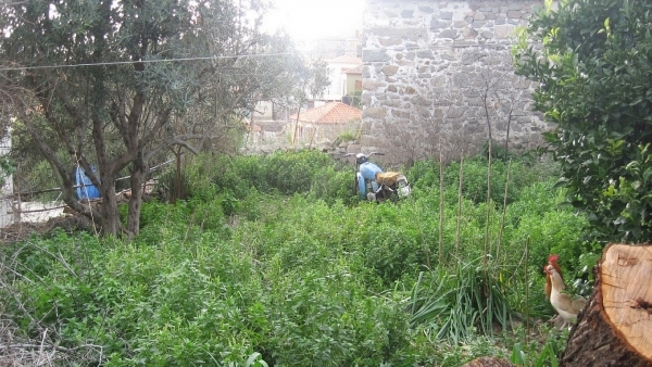 Πωλείται παλαιά μονοκατοικία στην Ερεσό Λέσβου.