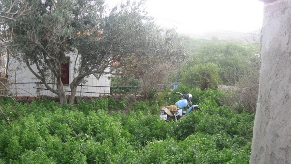 Πωλείται παλαιά μονοκατοικία στην Ερεσό Λέσβου.