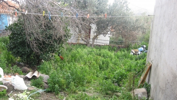 Πωλείται παλαιά μονοκατοικία στην Ερεσό Λέσβου.